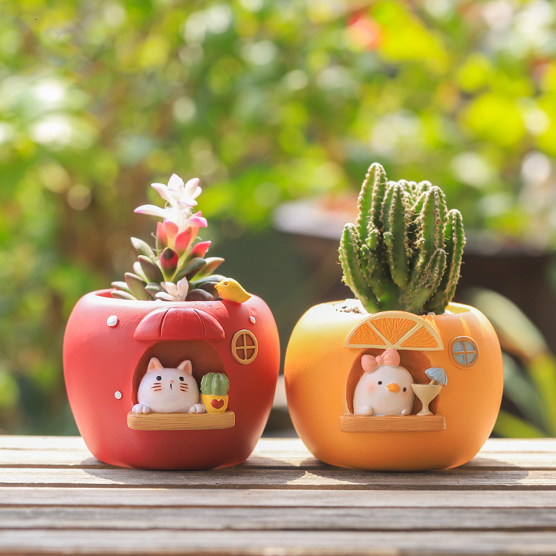 Echeveria Succulent - Cute Fruit Themed Planters for Succulents