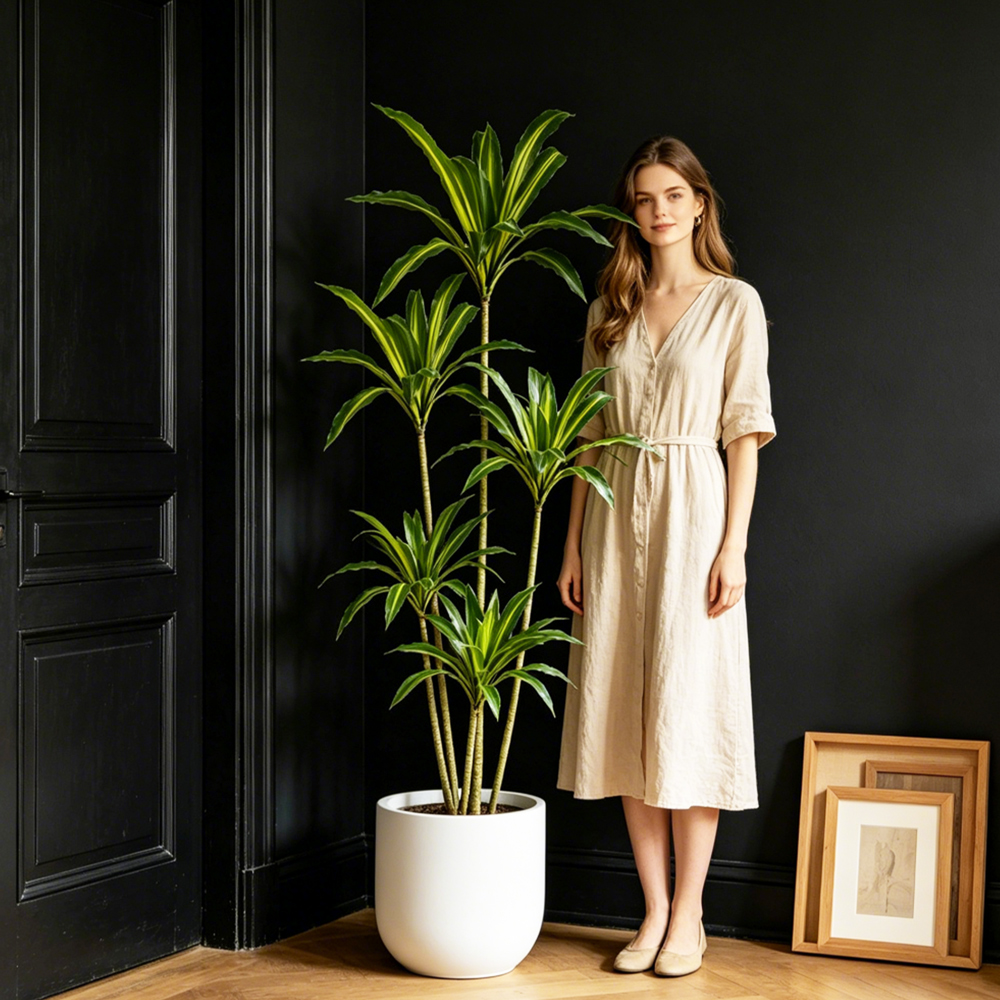 Dracaena Marginata - 80-165cm Large Artifcial Dracaena Tree Tropical