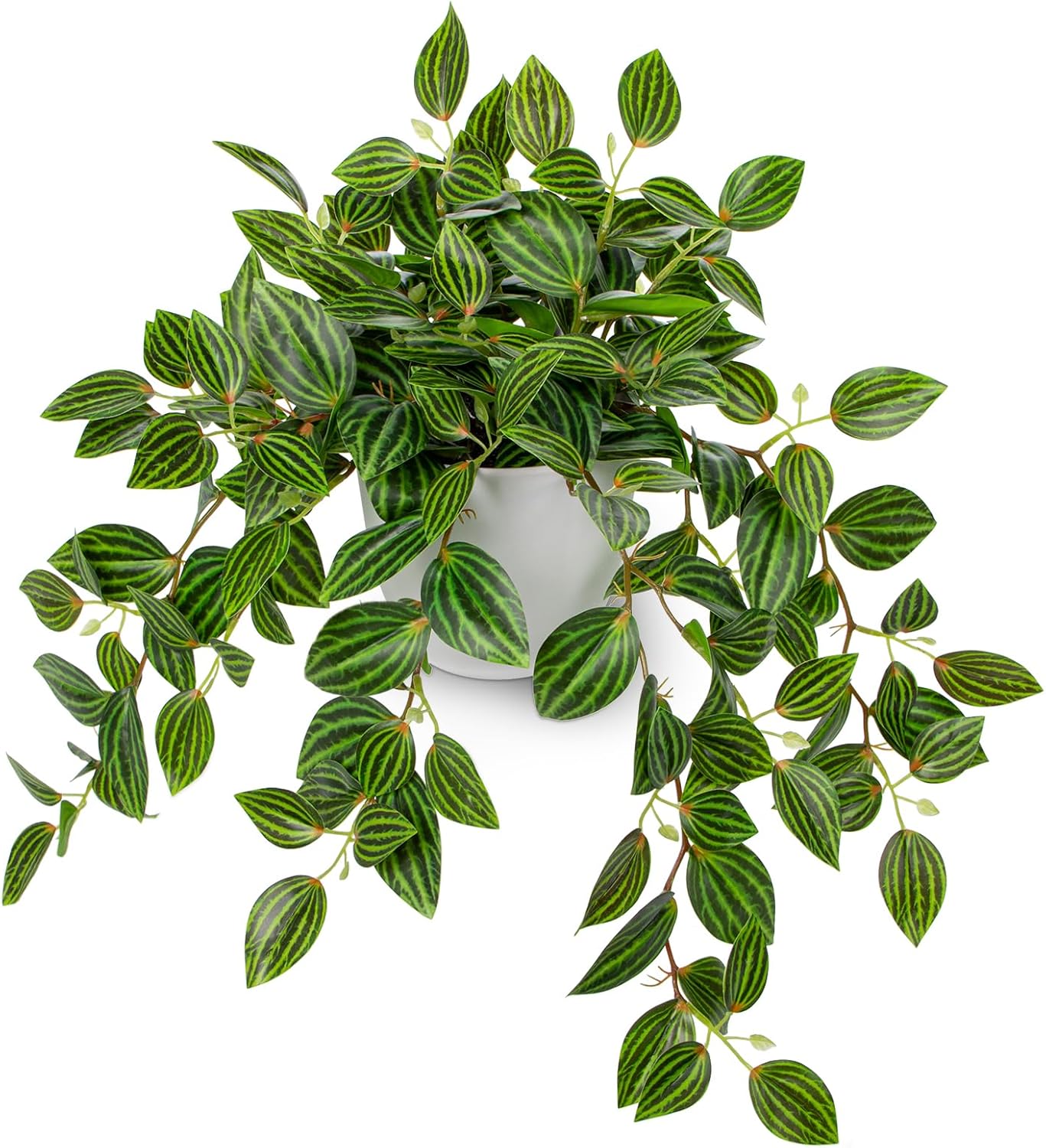 Peperomia Watermelon - Artificial Plants Indoor Fake Potted Silk