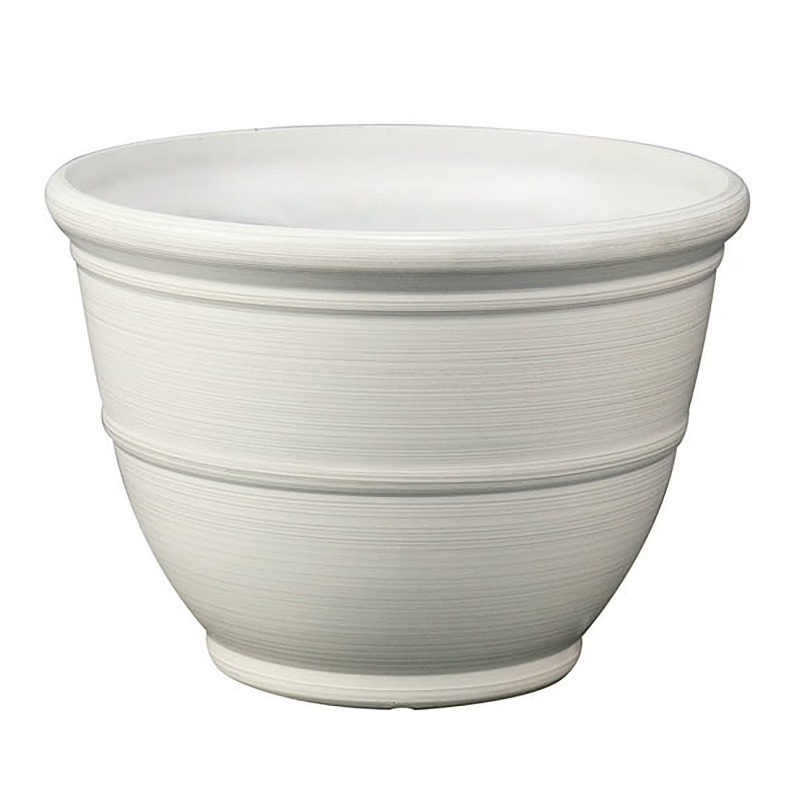 Aloe Vera Pot - 14