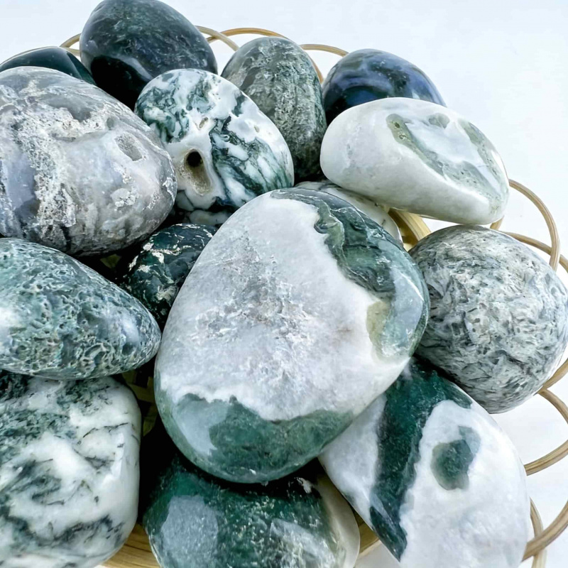 Natural Moss Agate Crushed Sto - Echeveria Succulent incelemesi ve fiyatı