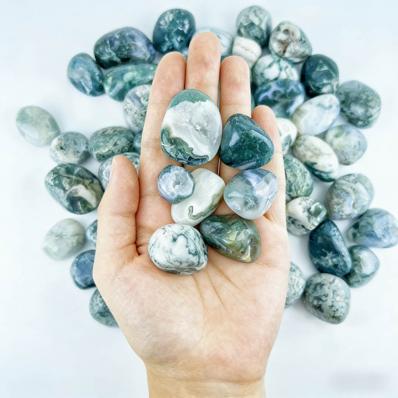 Natural Moss Agate Crushed Sto - Echeveria Succulent incelemesi ve fiyatı