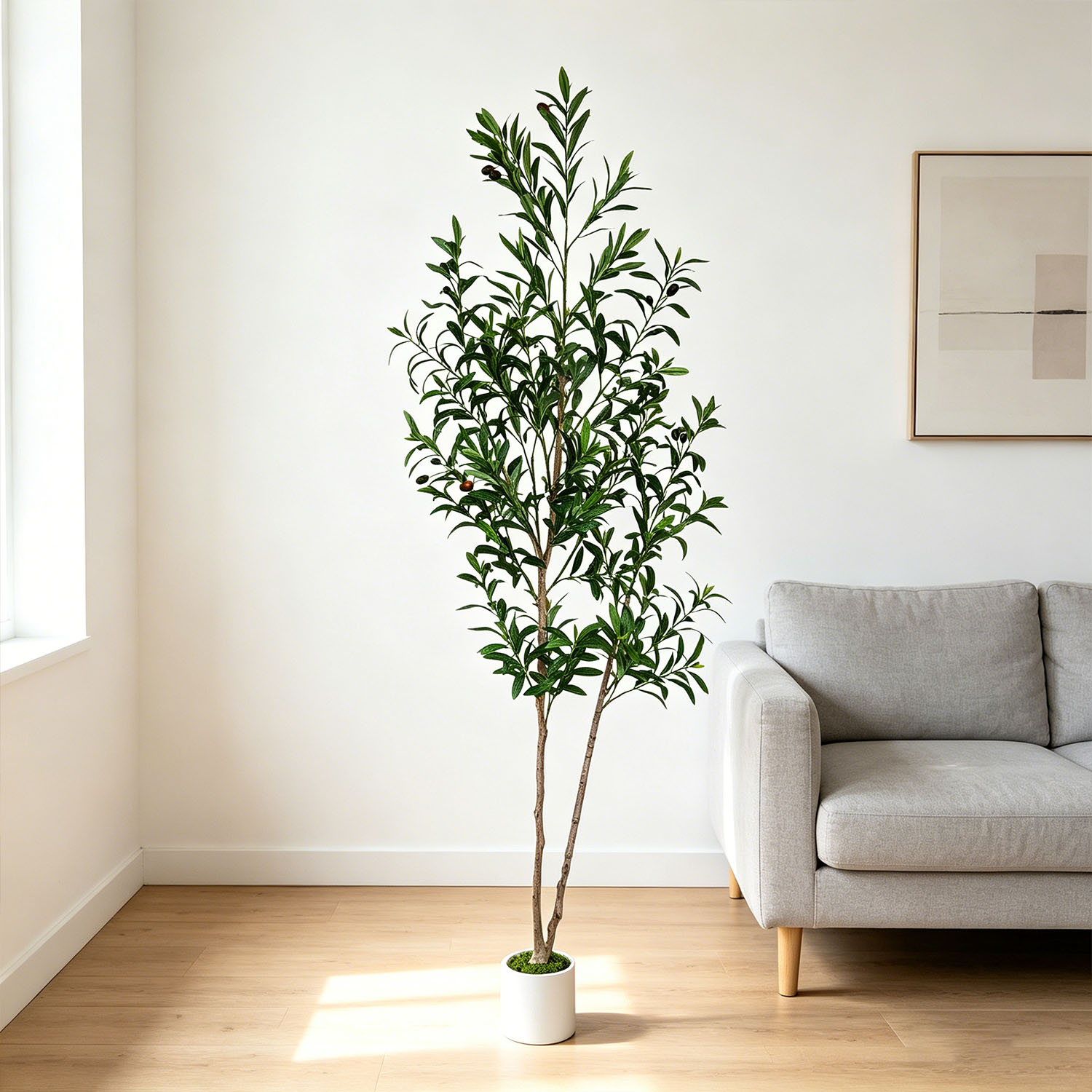 145Cm-175Cm/5.7Ft Artificial O - Dracaena Marginata incelemesi ve fiyatı