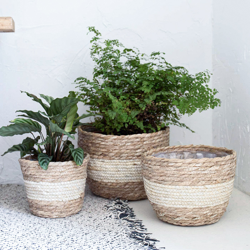 Seagrass Planter Basket Flower - Aloe Vera Pot incelemesi ve fiyatı