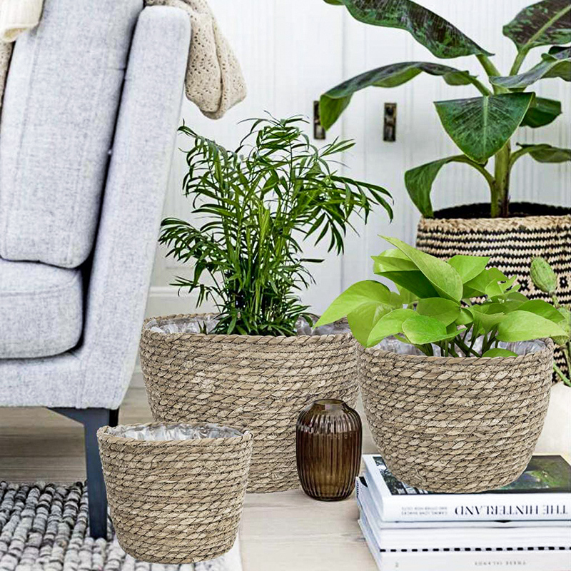 Seagrass Planter Basket Flower - Aloe Vera Pot incelemesi ve fiyatı
