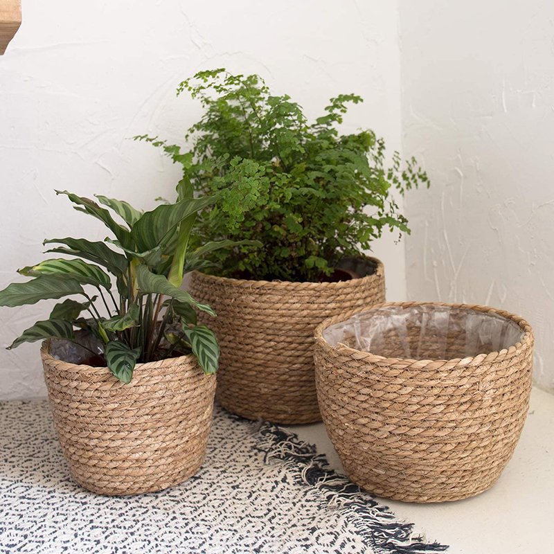 Seagrass Planter Basket Flower - Aloe Vera Pot incelemesi ve fiyatı