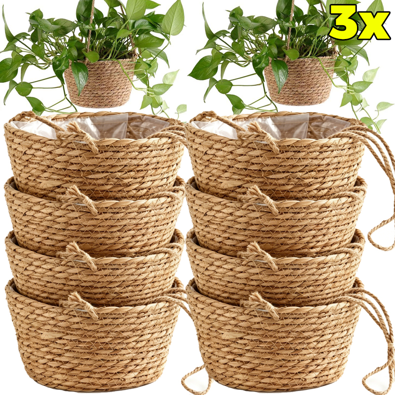 1/3x Rope Hanging Planter Bask - Spider Plant Hanging incelemesi ve fiyatı