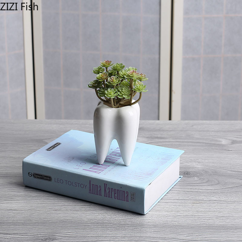 Tooth Shaped Ceramic Flower Po - Echeveria Succulent incelemesi ve fiyatı