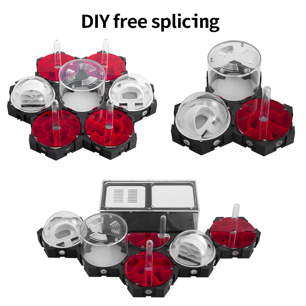 3D Printing Ant Farm Infinitel - Begonia Rex incelemesi ve fiyatı