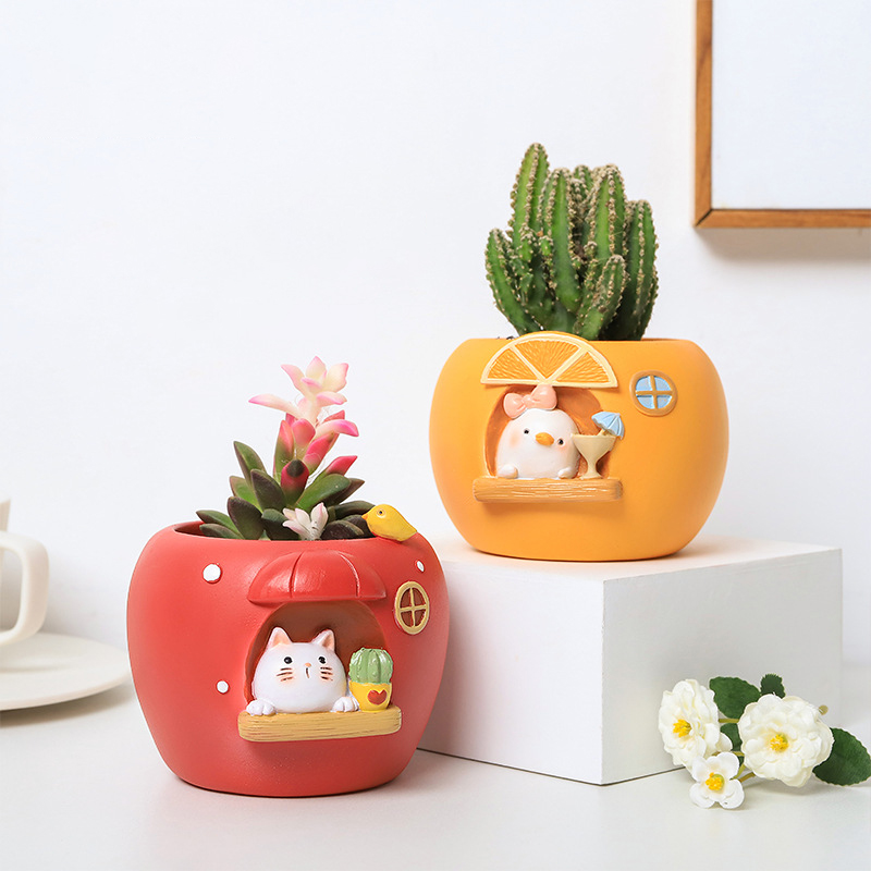 Cute Fruit Themed Planters for - Echeveria Succulent incelemesi ve fiyatı