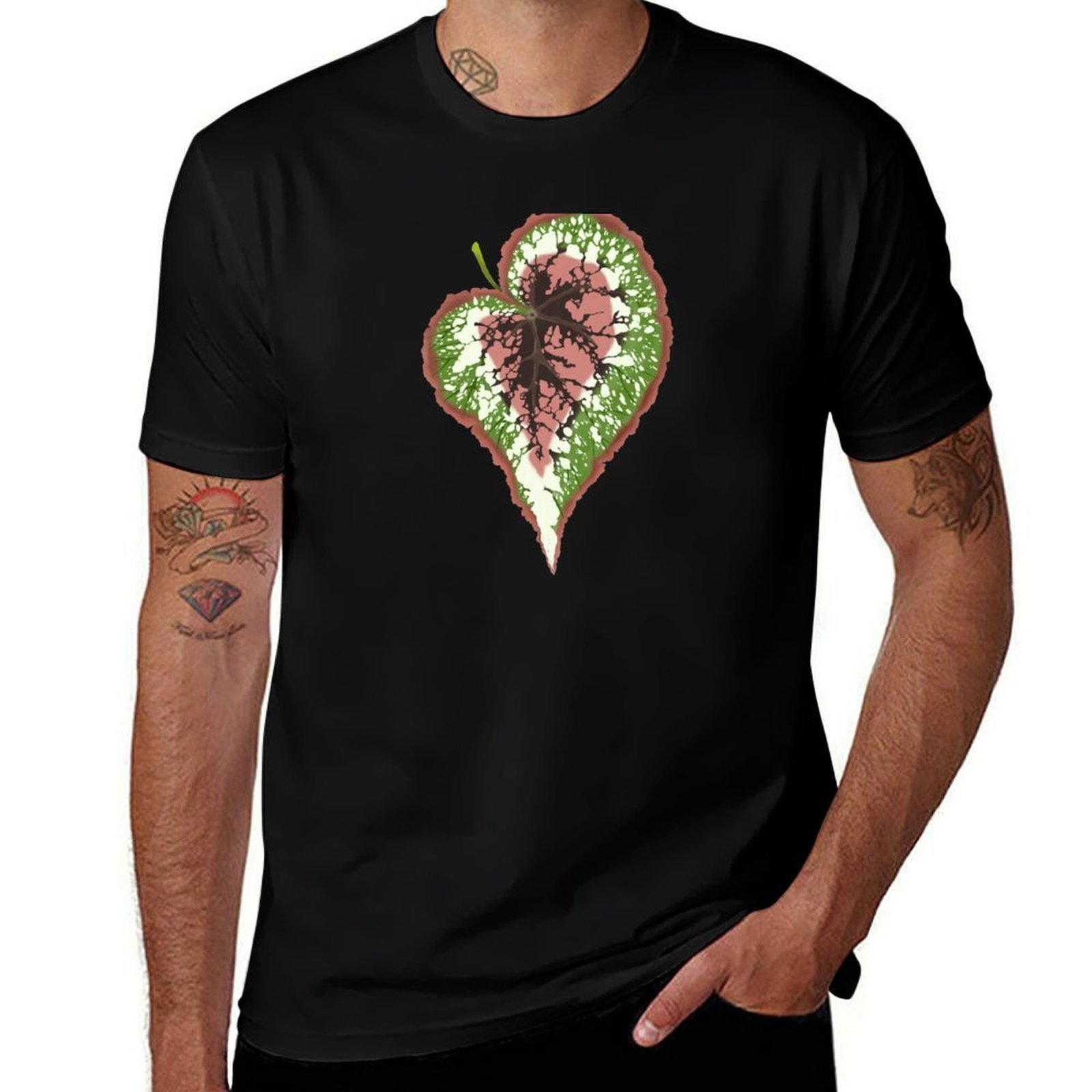 Begonia Rex T-Shirt Work Casua - Begonia Rex incelemesi ve fiyatı