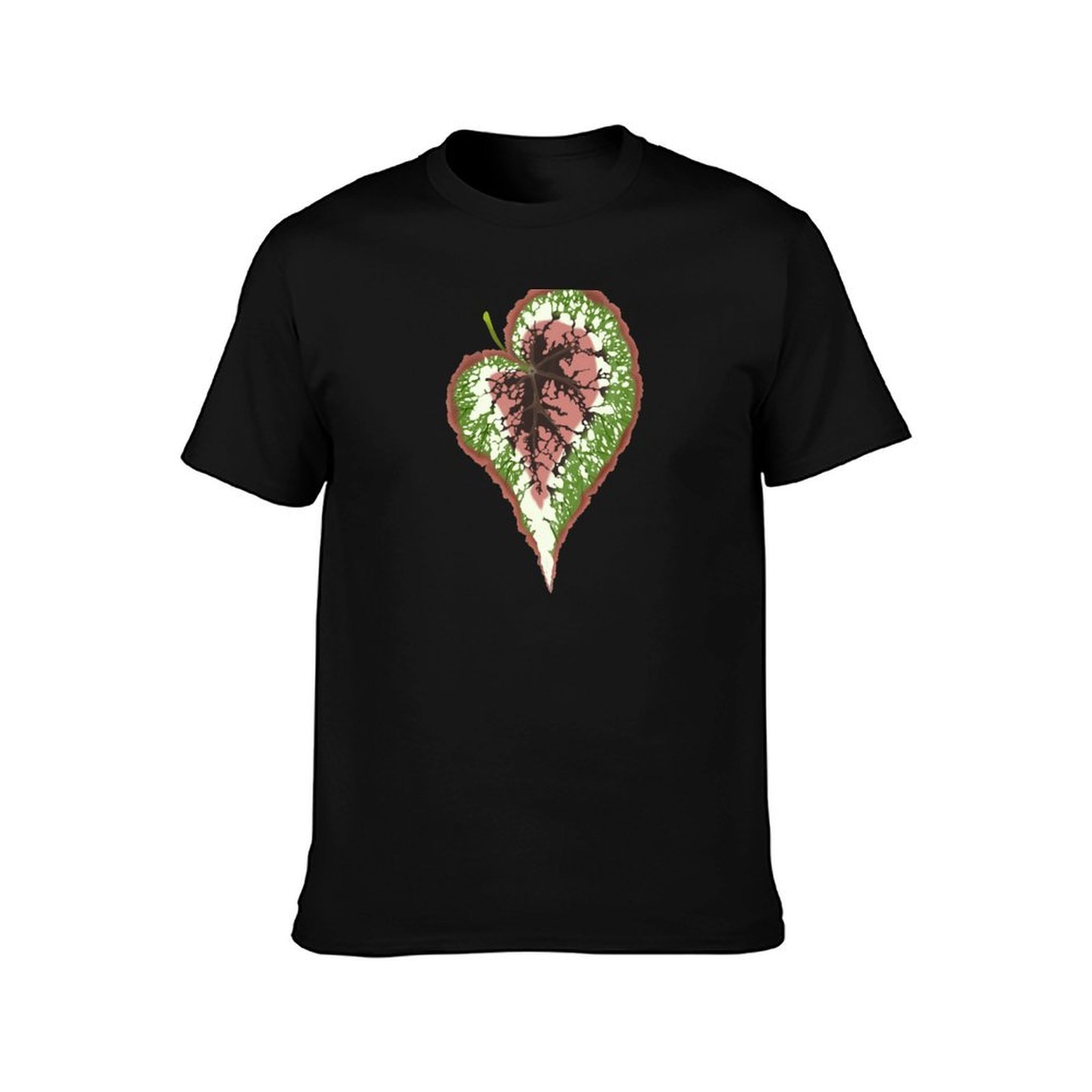 Begonia Rex T-Shirt Work Casua - Begonia Rex incelemesi ve fiyatı
