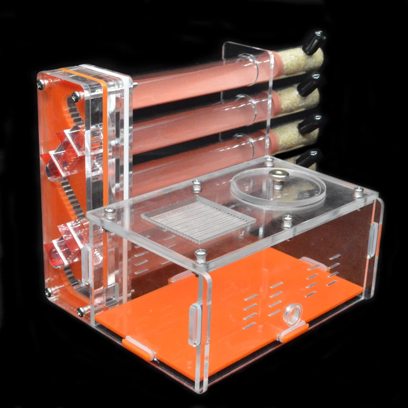 DIY Acrylic Ant Farm 5 pcs 18- - Begonia Rex incelemesi ve fiyatı