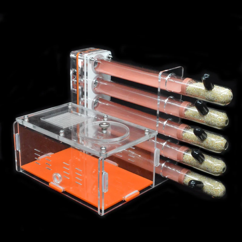 DIY Acrylic Ant Farm 5 pcs 18- - Begonia Rex incelemesi ve fiyatı