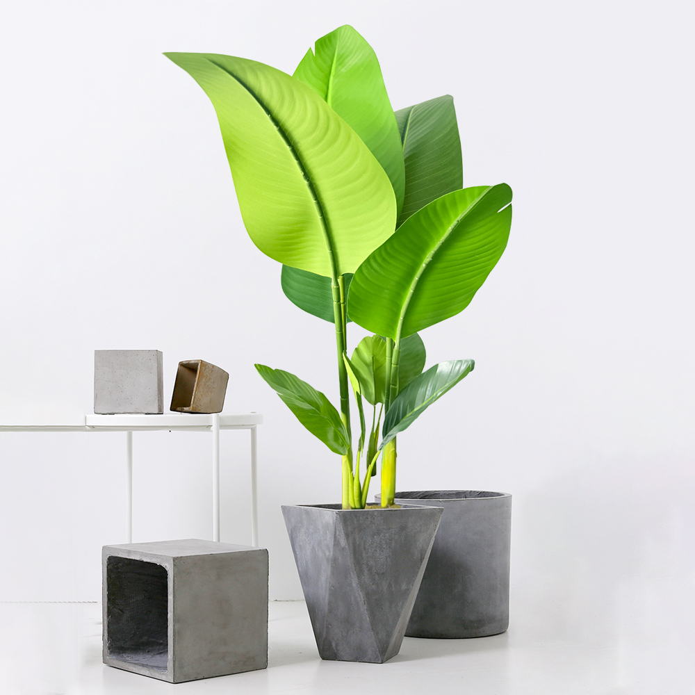 37-77cm Artificial Banana Tree - Dracaena Marginata incelemesi ve fiyatı