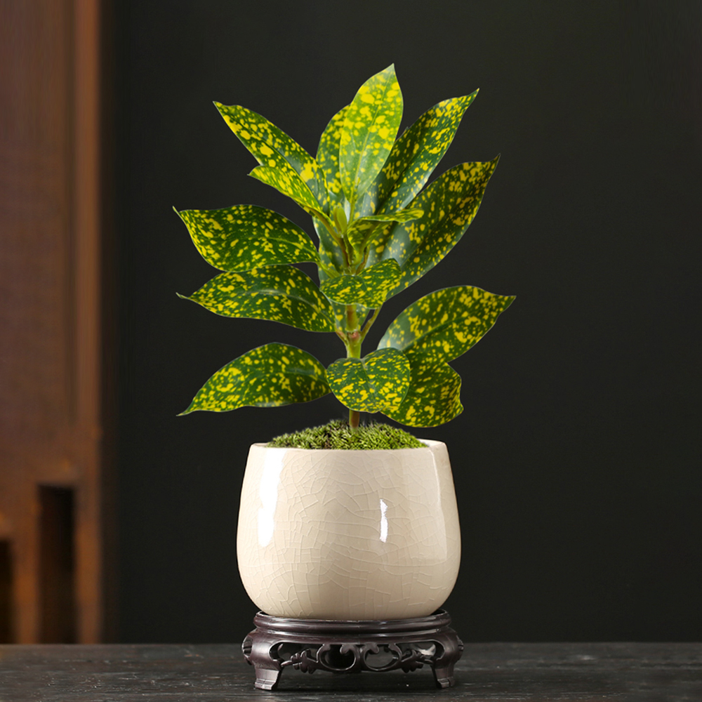 24-41cm Artificial Ficus Tree  - Ficus Lyrata Tree incelemesi ve fiyatı