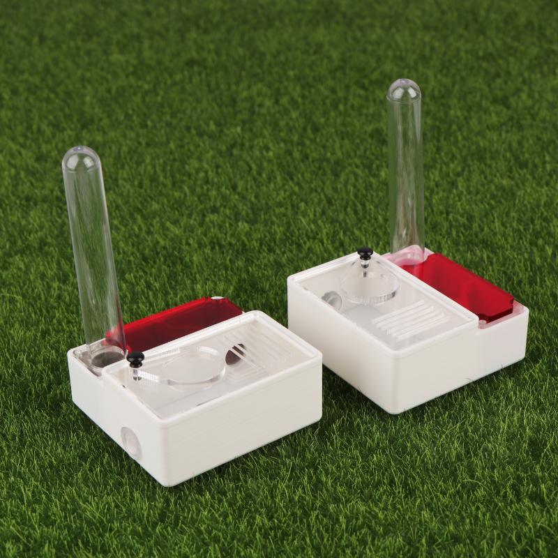 【Peace】3D Printed Ant Farm Que - Begonia Rex incelemesi ve fiyatı
