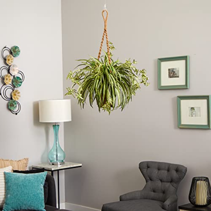 Spider Plant Hanging Basket - Spider Plant Hanging incelemesi ve fiyatı