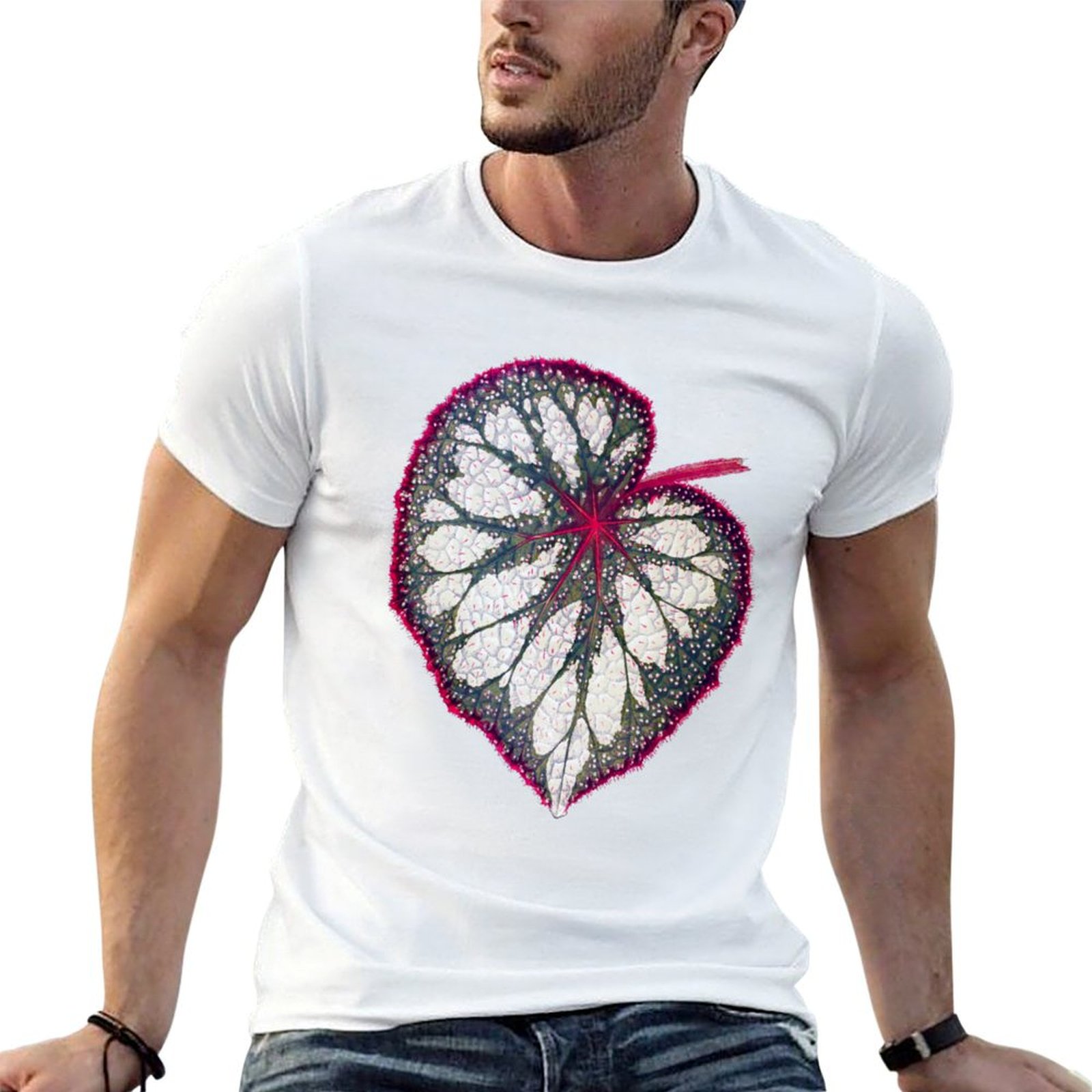 Begonia rex T-Shirt man graphi - Begonia Rex incelemesi ve fiyatı