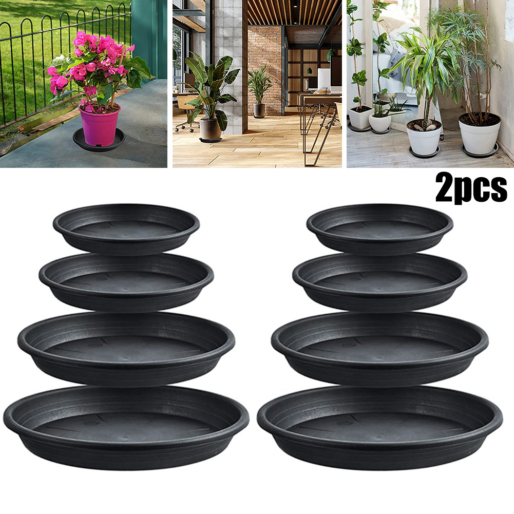 2pcs Plant Trays Round Succule - Echeveria Succulent incelemesi ve fiyatı