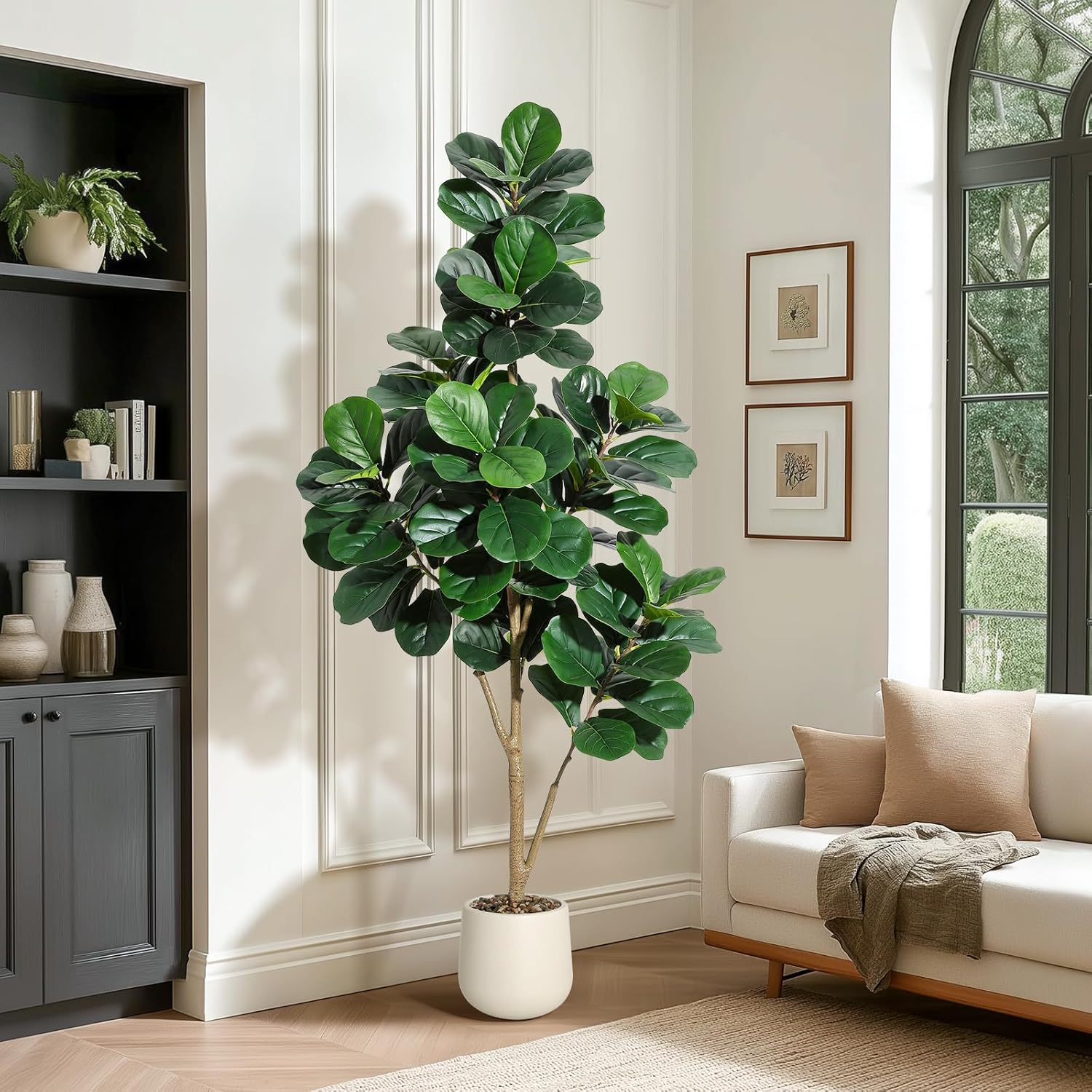 4-7 FT Fiddle Leaf Fig Tree Ar - Ficus Lyrata Tree incelemesi ve fiyatı