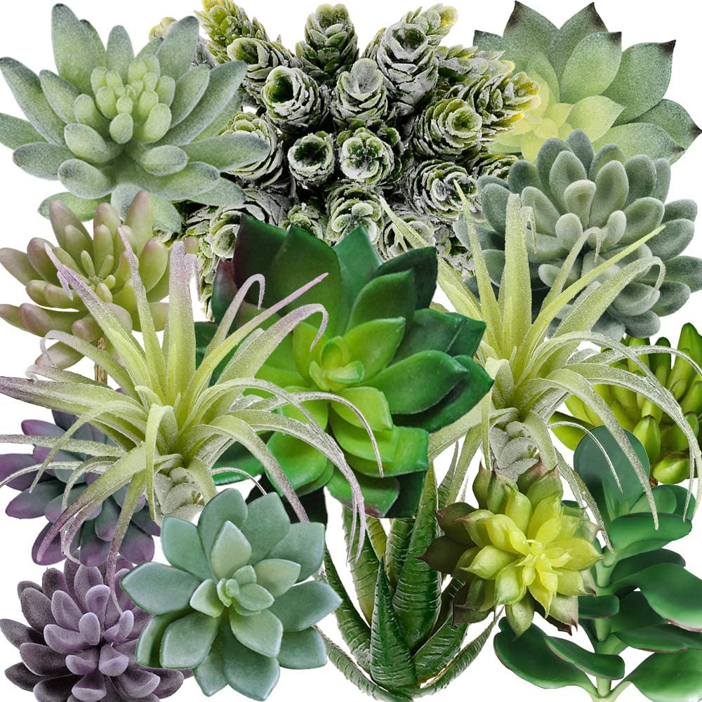15 Pack Assorted Artificial Su - Echeveria Succulent incelemesi ve fiyatı