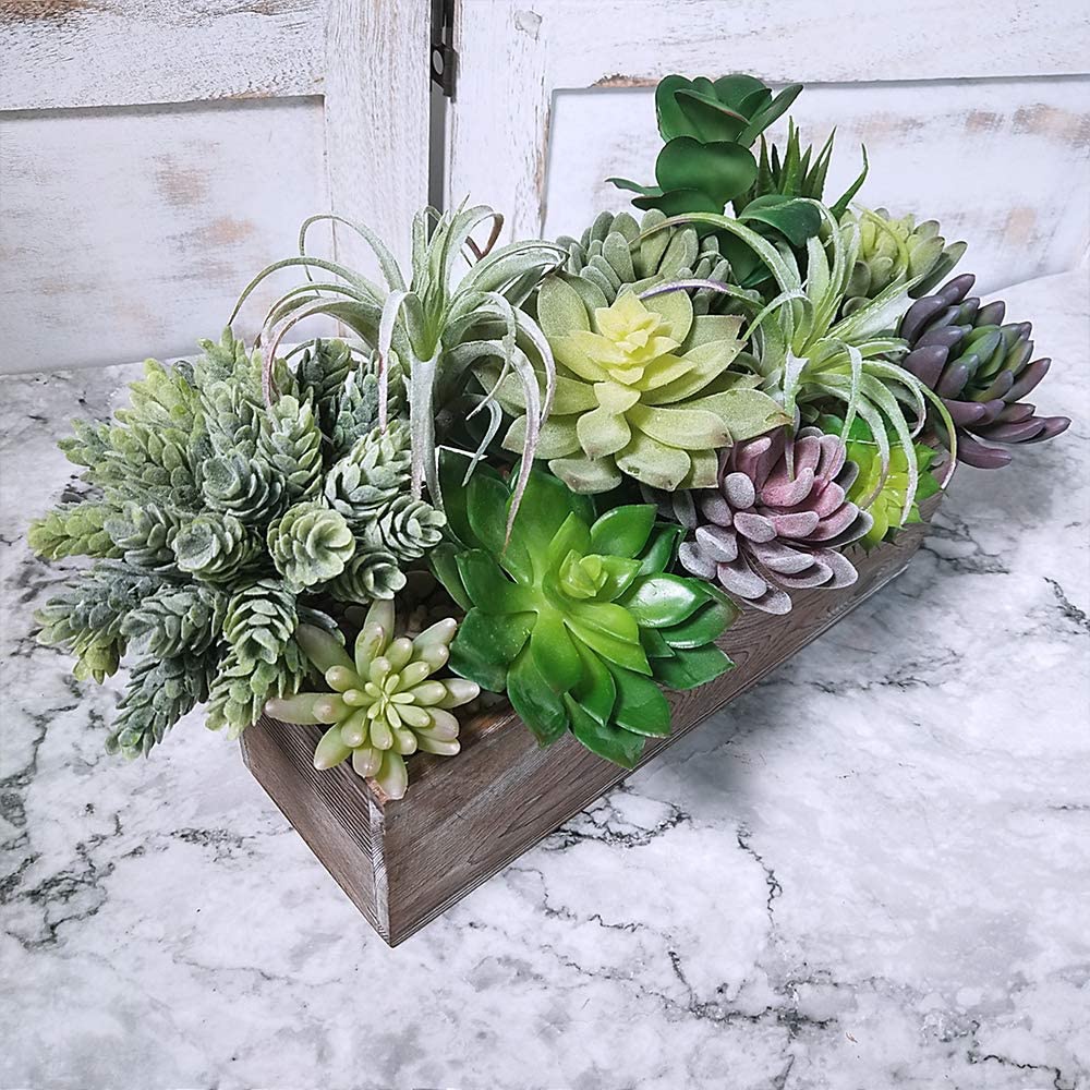15 Pack Assorted Artificial Su - Echeveria Succulent incelemesi ve fiyatı
