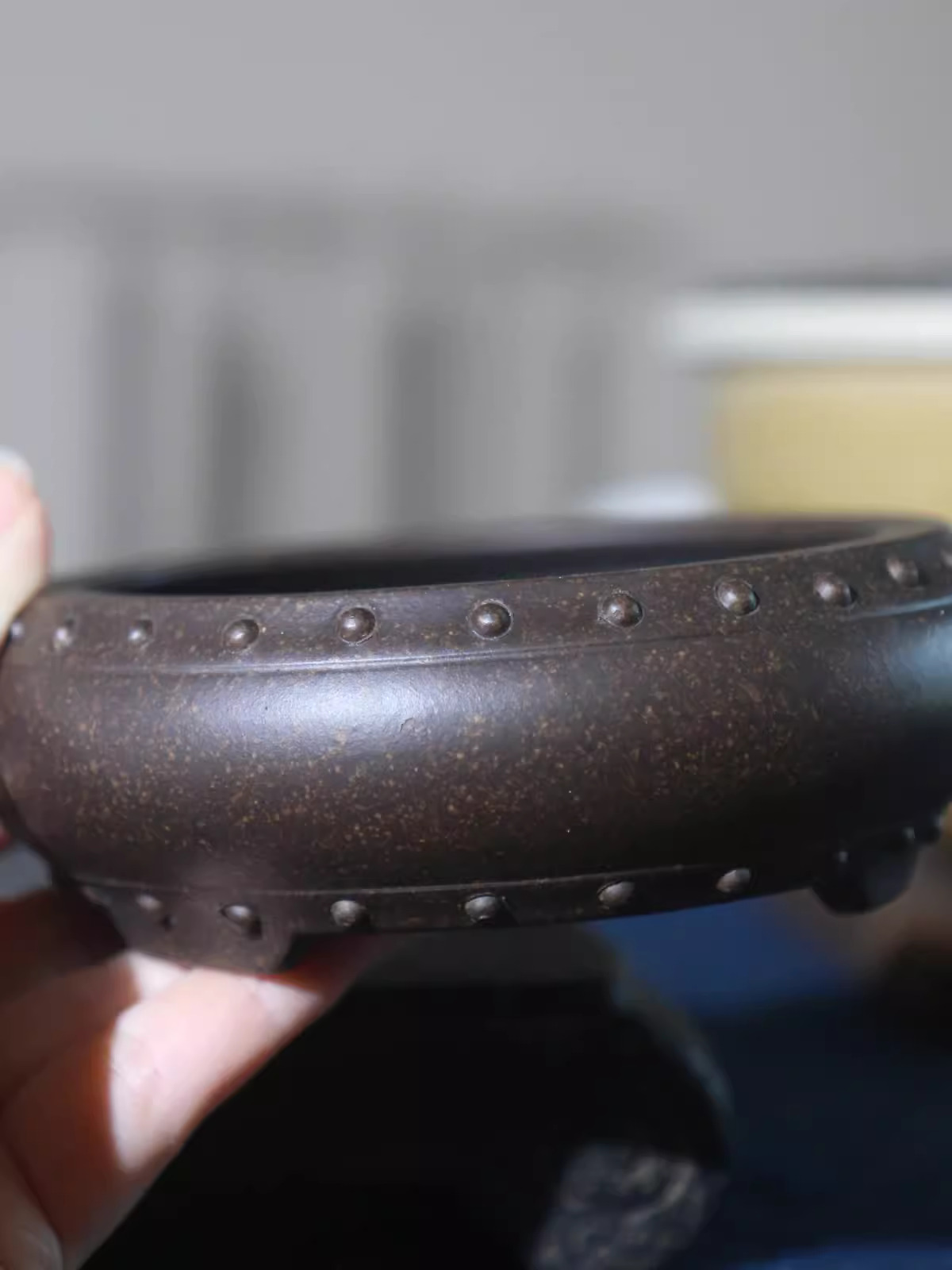 Ceramic Circle Bonsai Pot, Mad - Pilea Peperomioides incelemesi ve fiyatı