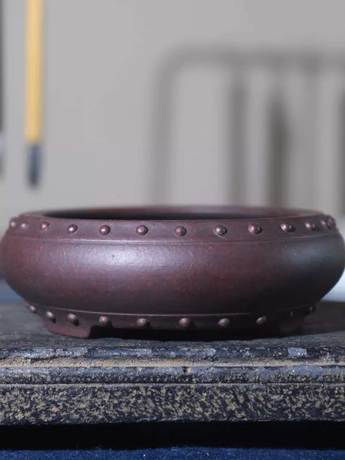 Ceramic Circle Bonsai Pot, Mad - Pilea Peperomioides incelemesi ve fiyatı