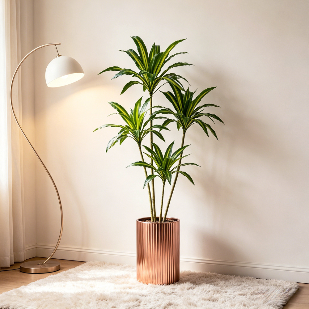 80-165cm Large Artifcial Draca - Dracaena Marginata incelemesi ve fiyatı