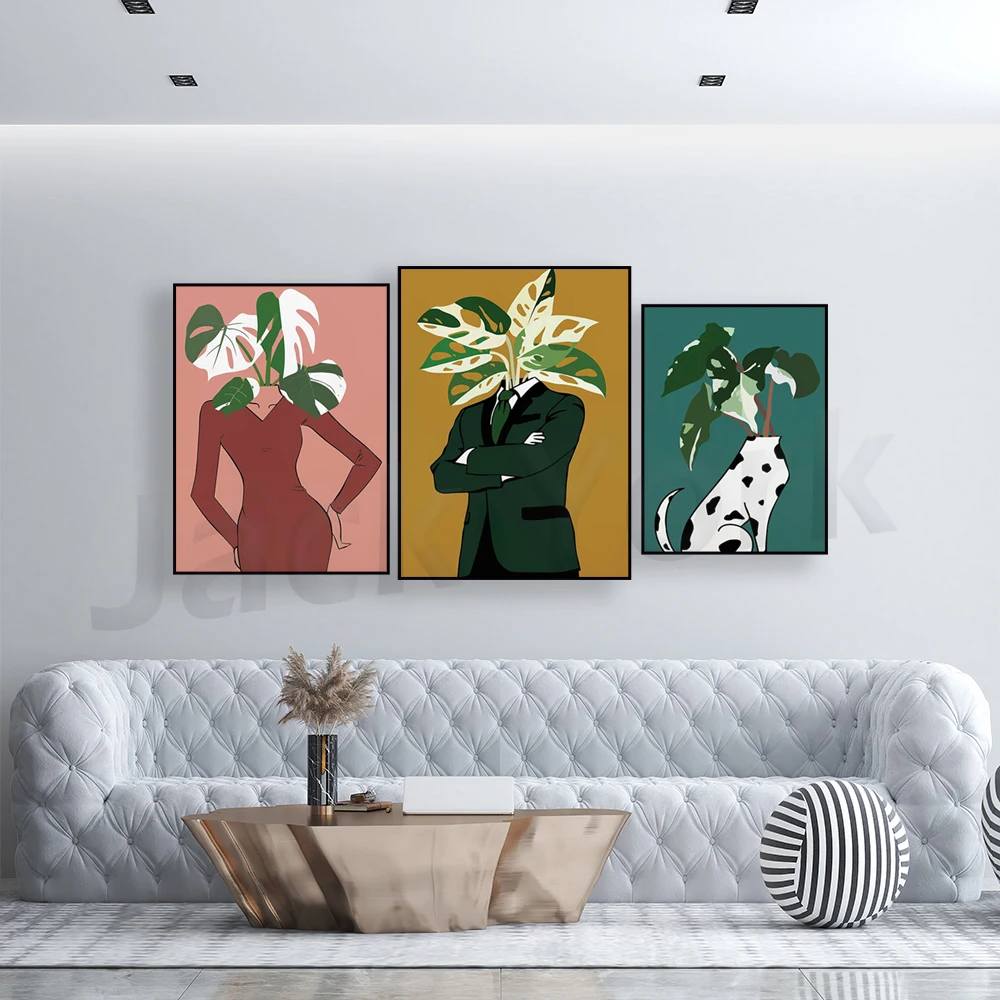 Monstera Albo in a burgundy dr - Monstera Adansonii incelemesi ve fiyatı