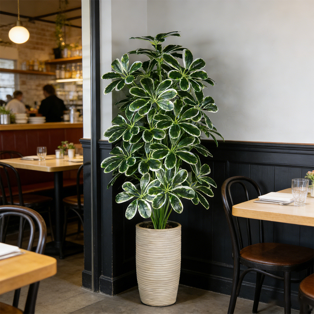 50-75cm Artifficial Maranta Pl - Dracaena Marginata incelemesi ve fiyatı