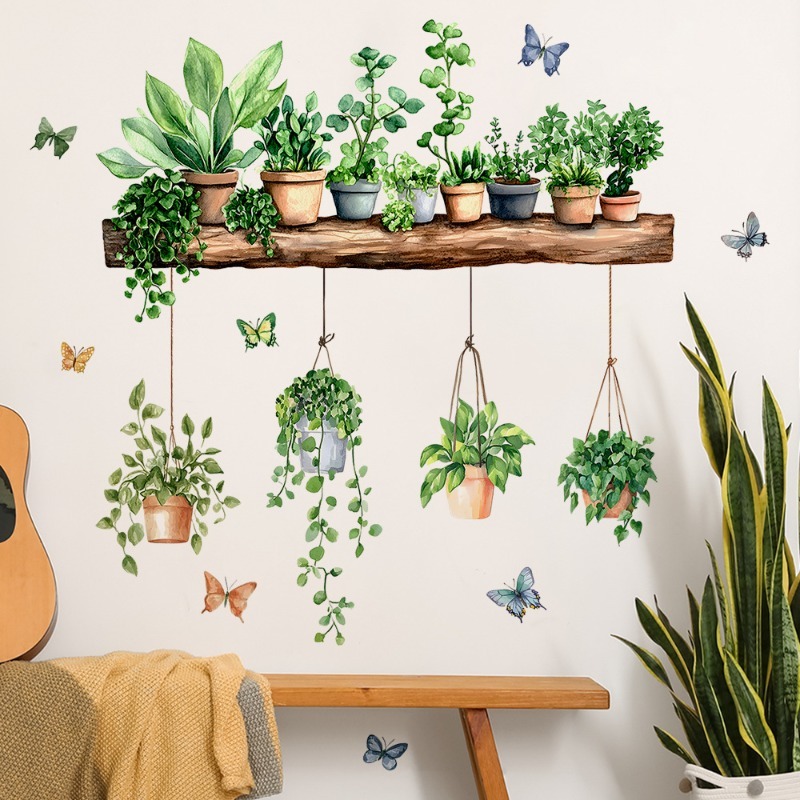 3D Potted Green Plant Shelf Wa - Echeveria Succulent incelemesi ve fiyatı