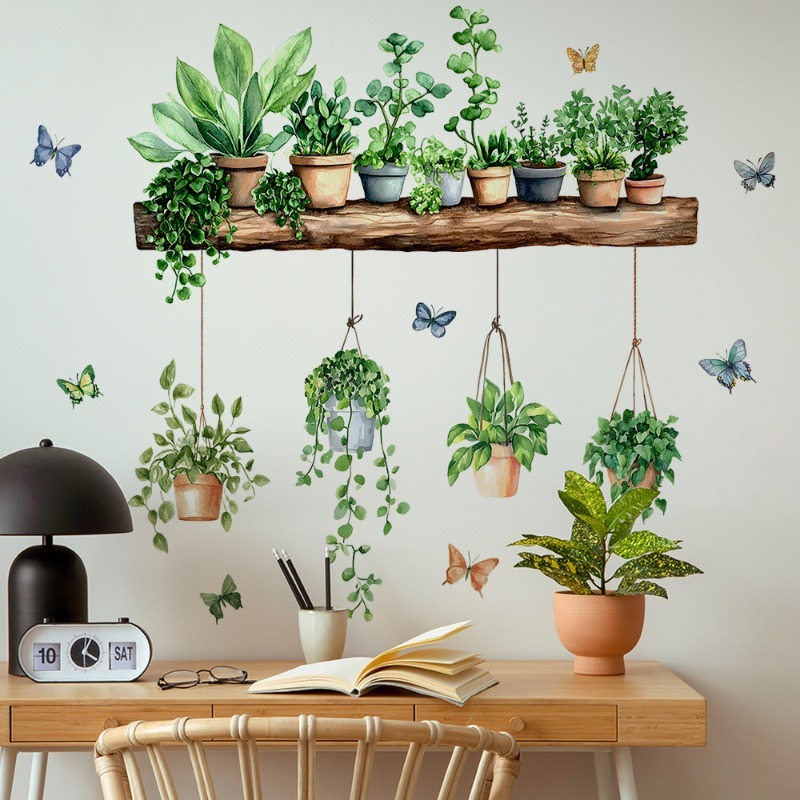 3D Potted Green Plant Shelf Wa - Echeveria Succulent incelemesi ve fiyatı