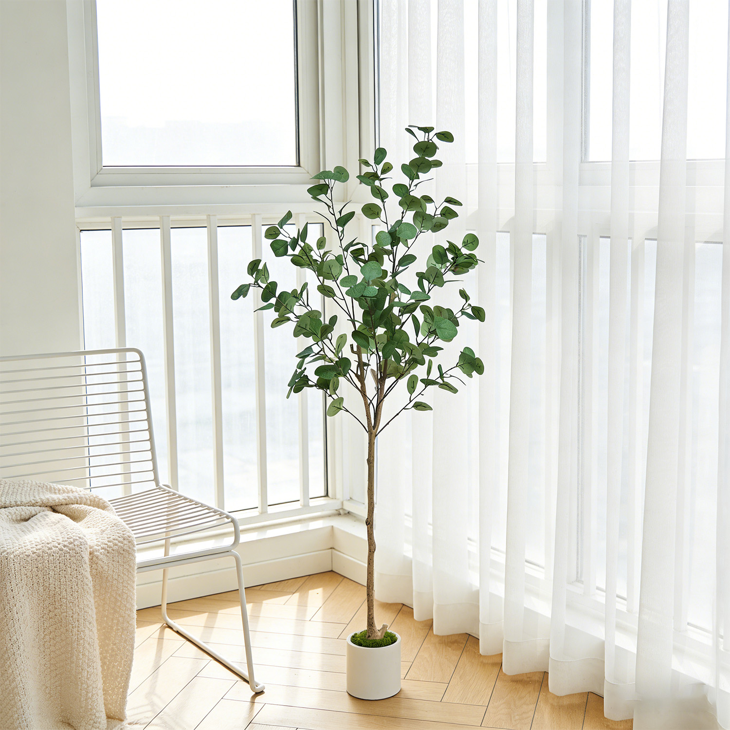 120-155Cm/5.1Ft Artificial Euc - Dracaena Marginata incelemesi ve fiyatı