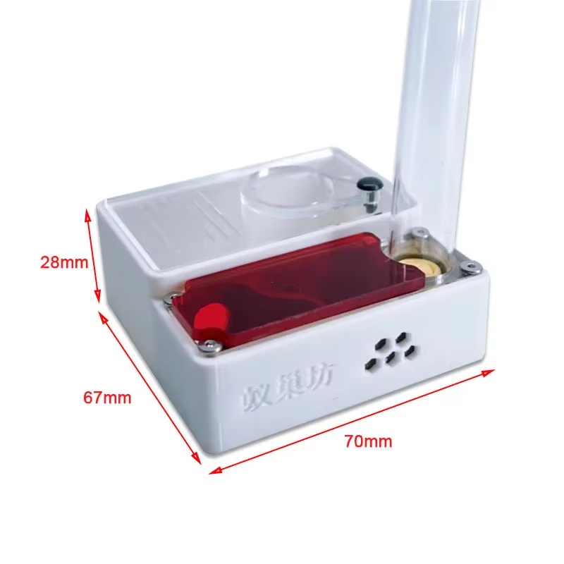 1PC 3D Printed Ant Farm queen  - Begonia Rex incelemesi ve fiyatı