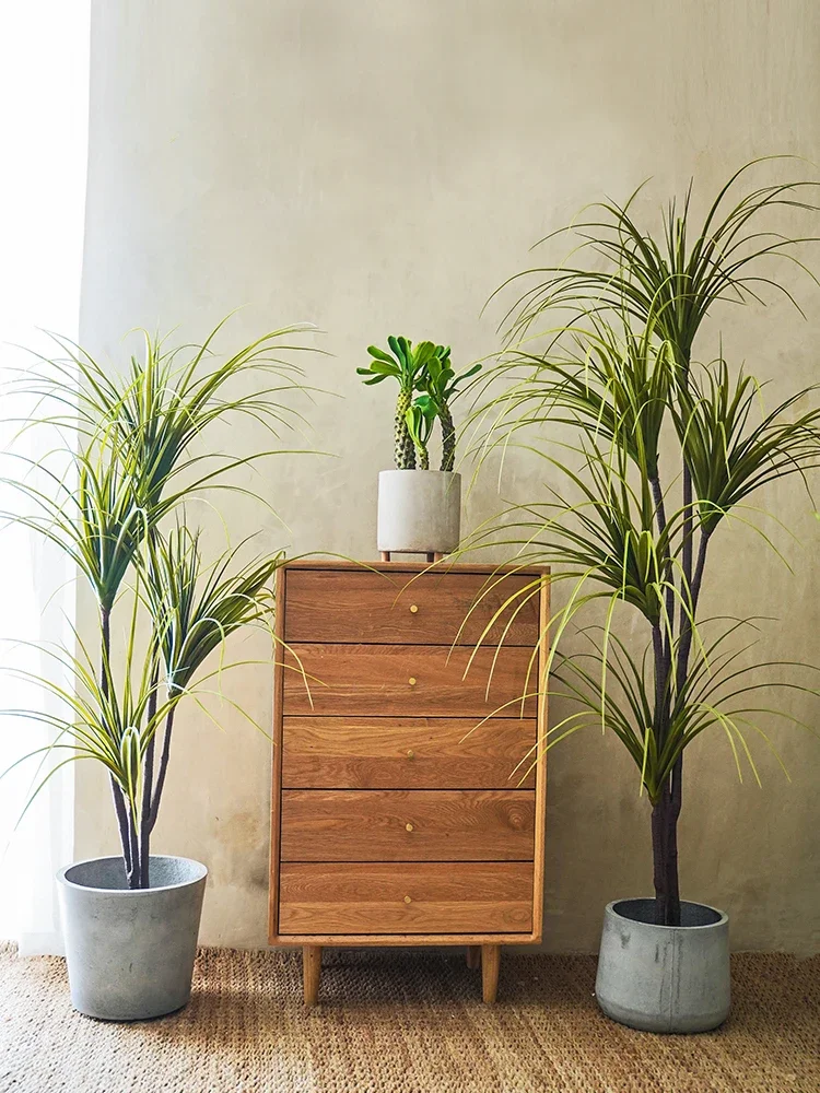Simulation Plant Dracaena Marg - Dracaena Marginata incelemesi ve fiyatı