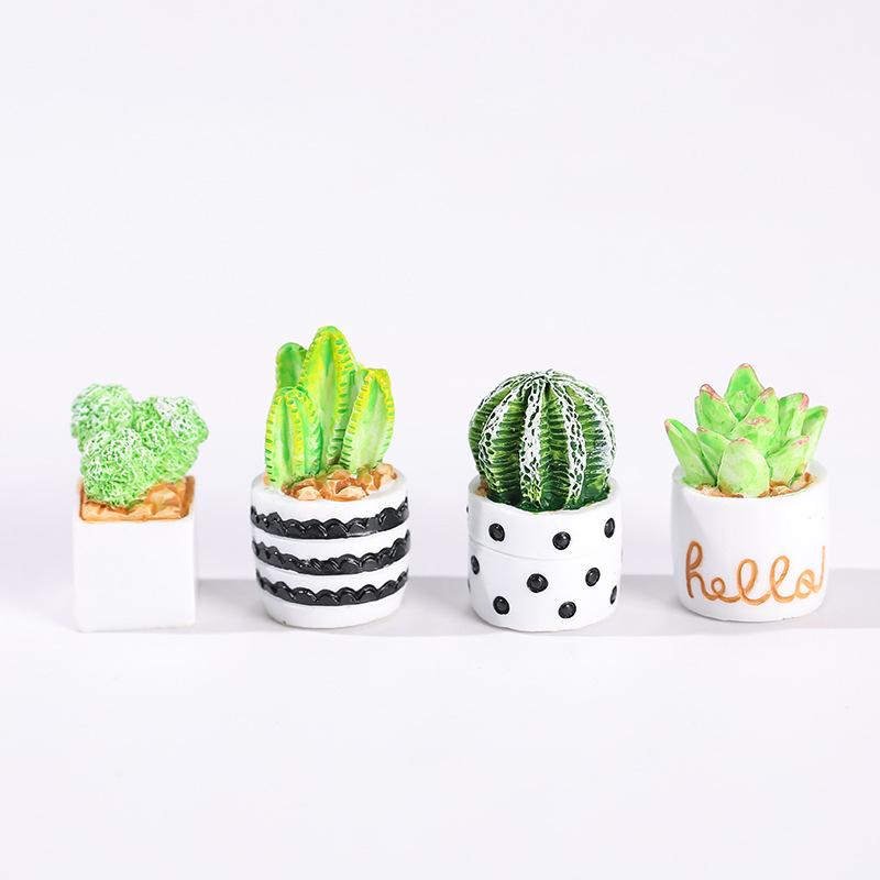 4-Piece Set of Cactus Succulen - Echeveria Succulent incelemesi ve fiyatı