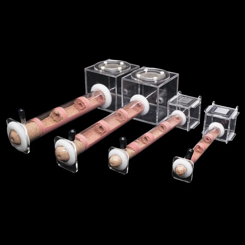 DIY Various Size Ant Farm Bamb - Begonia Rex incelemesi ve fiyatı