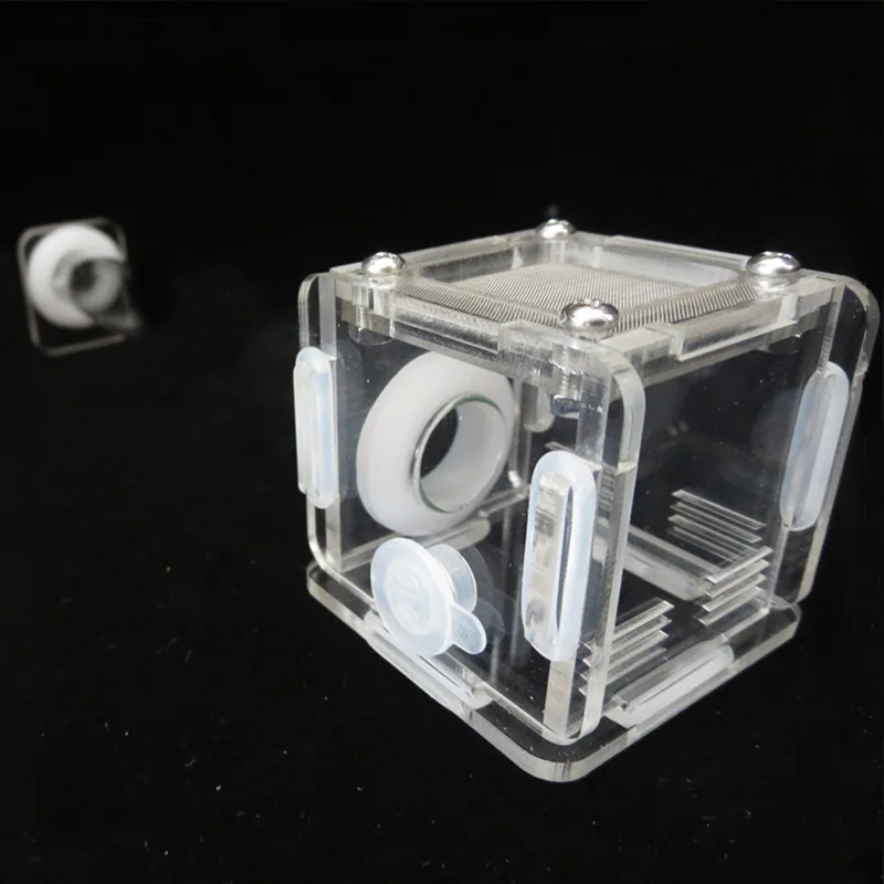 DIY Various Size Ant Farm Bamb - Begonia Rex incelemesi ve fiyatı