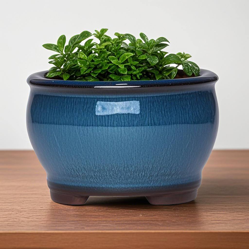 Ceramic Garden Planter Pots Ce - Aloe Vera Pot incelemesi ve fiyatı