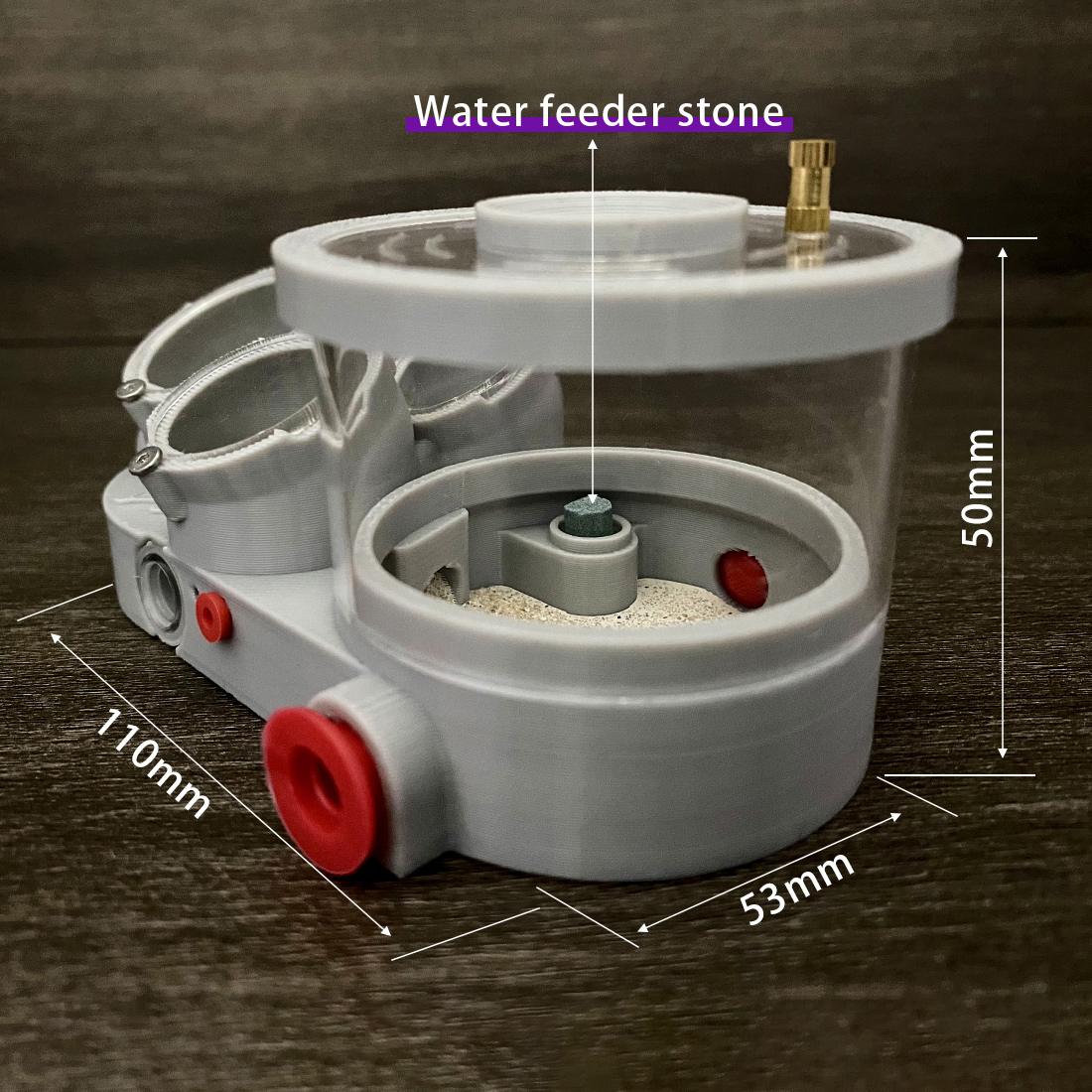 【Three Body】Ant Farm with Wate - Begonia Rex incelemesi ve fiyatı