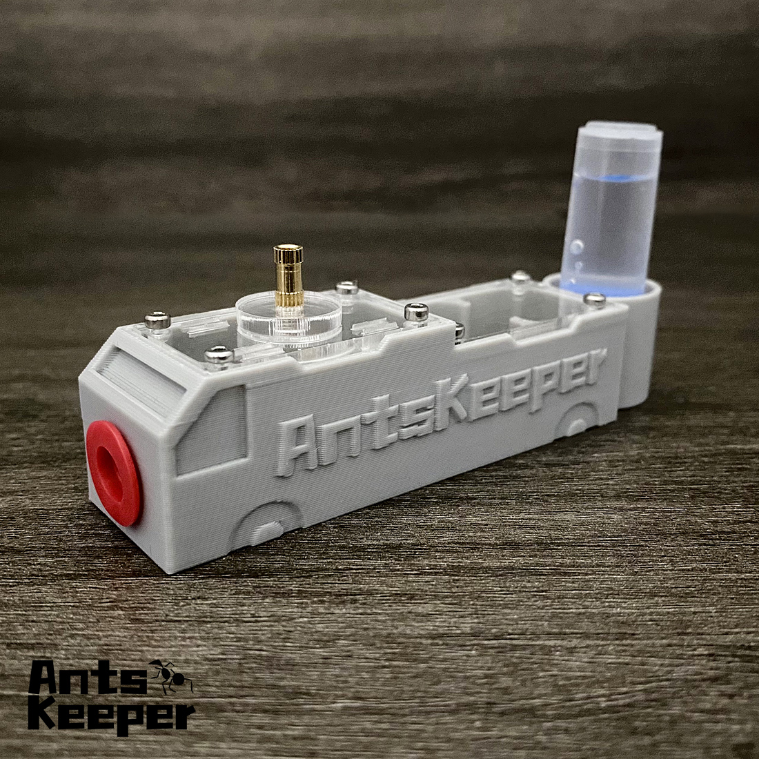 【Truck】Ant Farm for Ants keepe - Begonia Rex incelemesi ve fiyatı