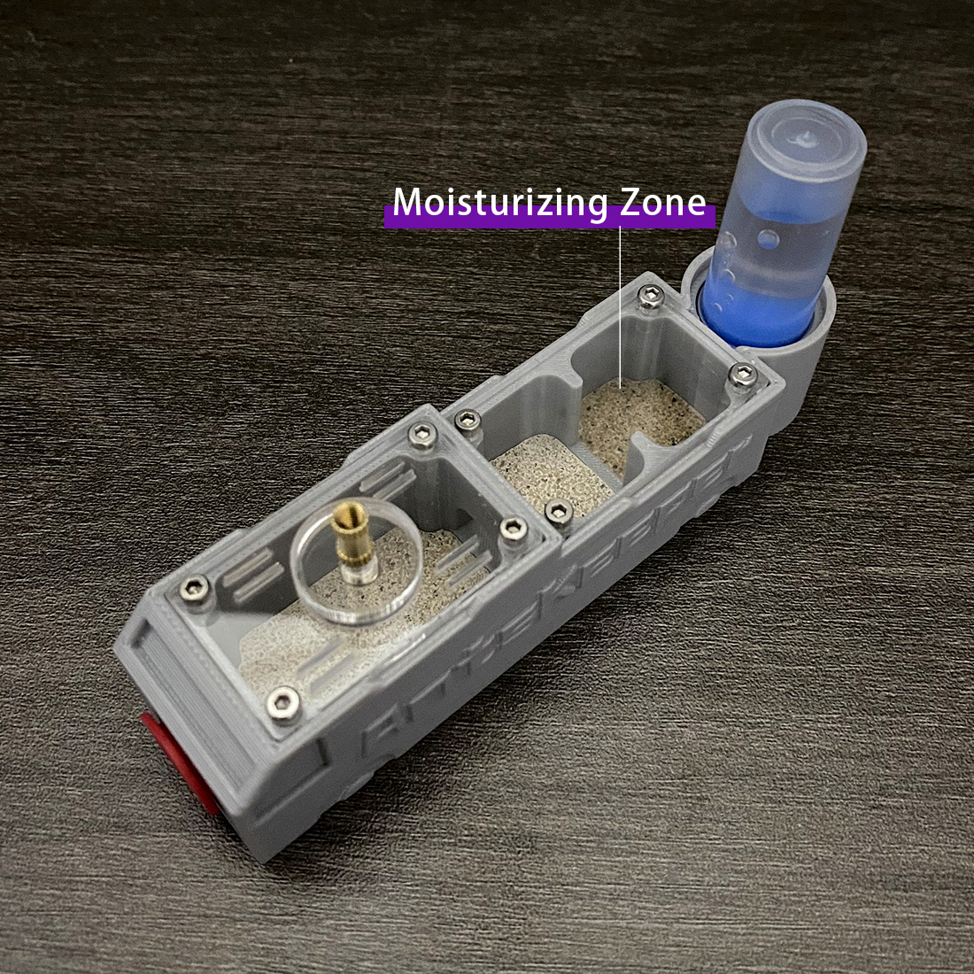 【Truck】Ant Farm for Ants keepe - Begonia Rex incelemesi ve fiyatı
