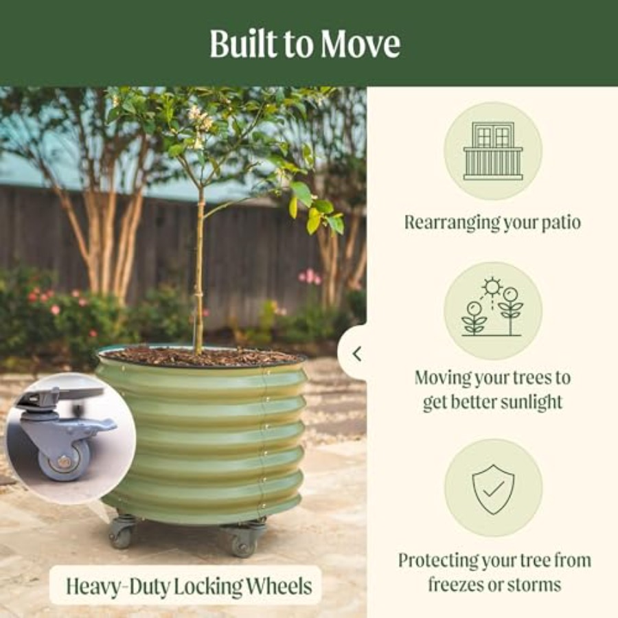 Self-Watering Rolling Metal Ci - Aloe Vera Pot incelemesi ve fiyatı