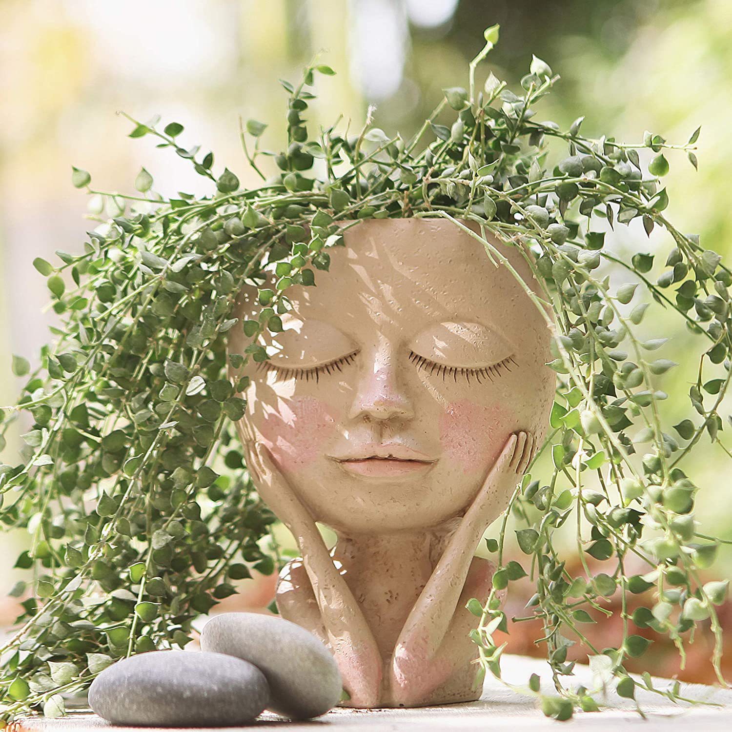 Girls Face Head Flower Planter - Echeveria Succulent incelemesi ve fiyatı