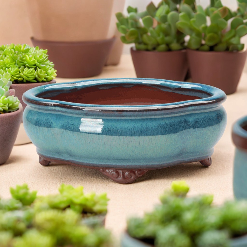 Ceramic Succulent Flower Pot C - Pilea Peperomioides incelemesi ve fiyatı